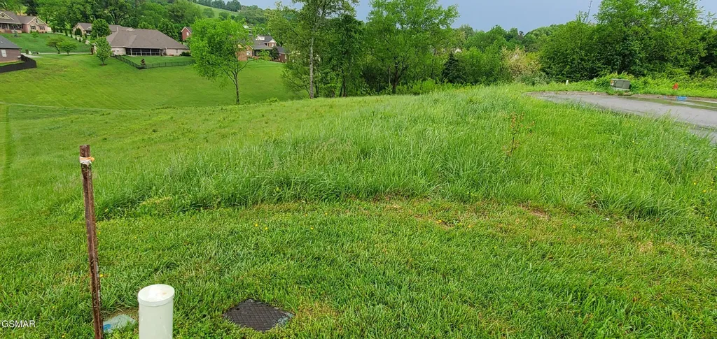 2329 Louisiana Court Seymour TN 37865
