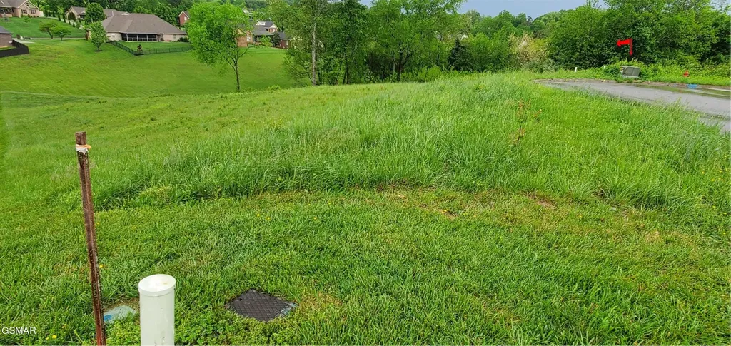 2329 Louisiana Court Seymour TN 37865