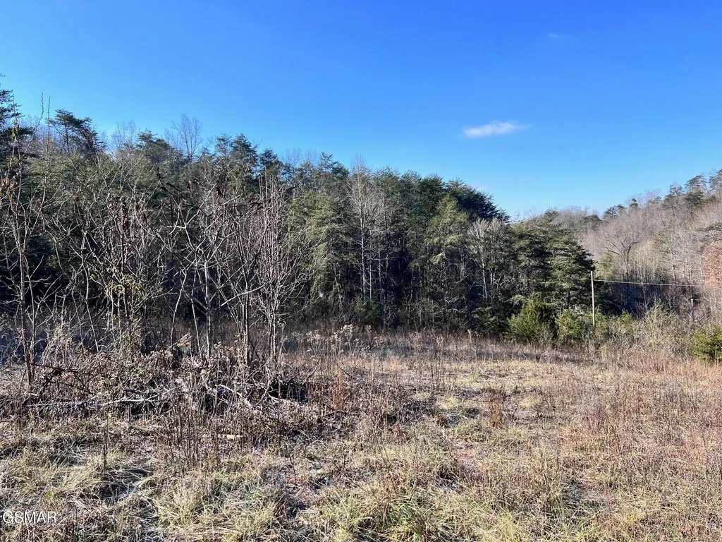 1581 Lower Caney Valley Road Tazewell TN 37879