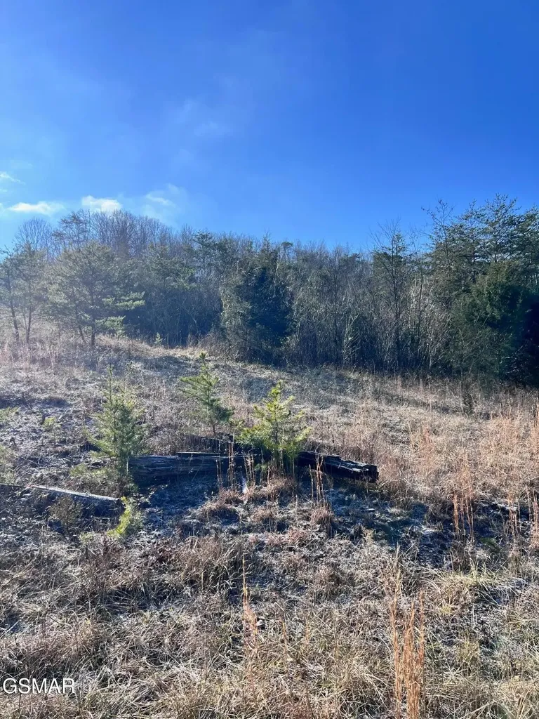 1581 Lower Caney Valley Road Tazewell TN 37879