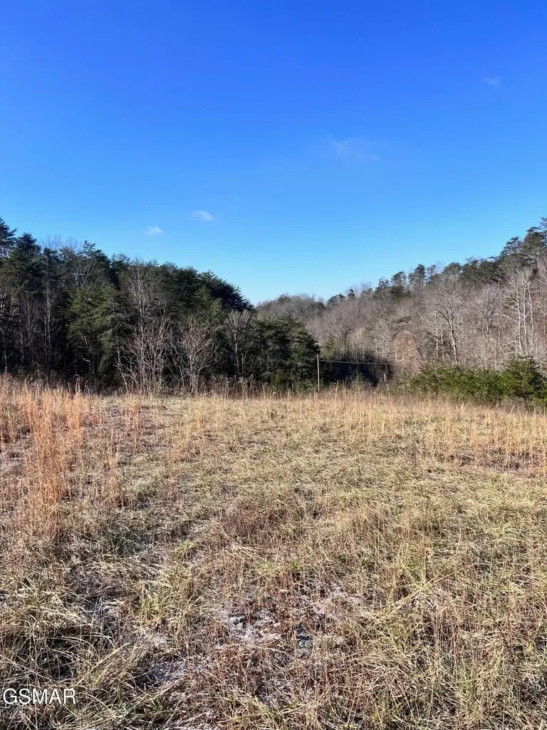 1581 Lower Caney Valley Road Tazewell TN 37879