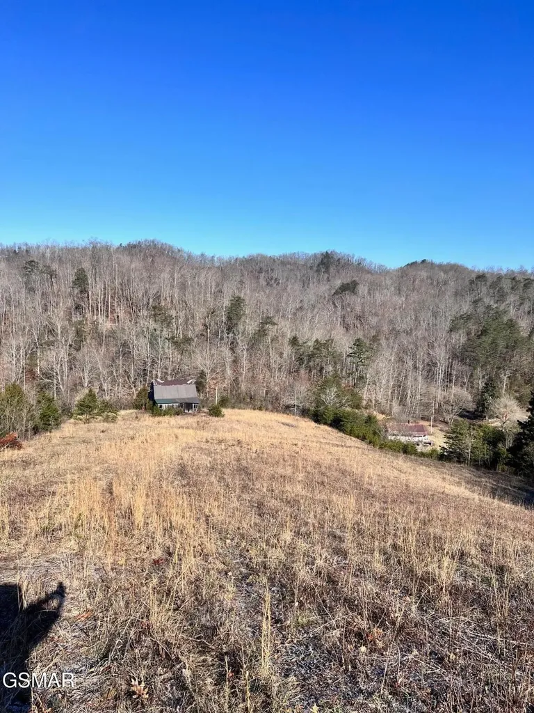 1581 Lower Caney Valley Road Tazewell TN 37879