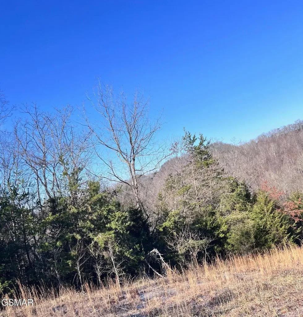 1581 Lower Caney Valley Road Tazewell TN 37879