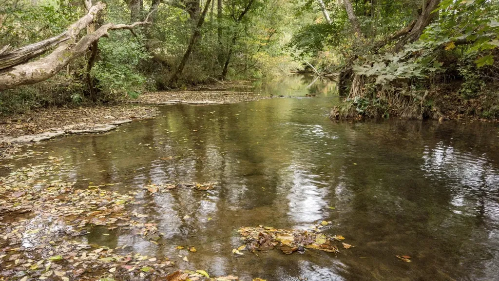 1 Noah Road Beechgrove TN 37018