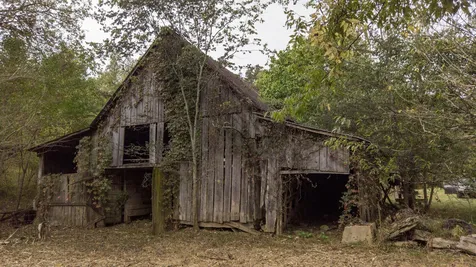 1 Noah Road Beechgrove TN 37018