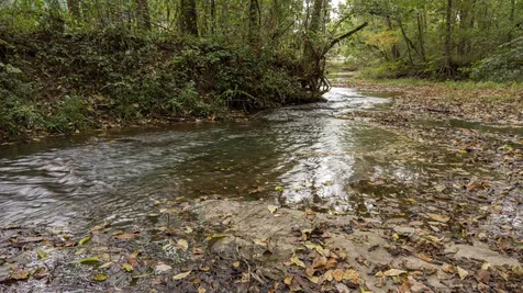 1 Noah Road Beechgrove TN 37018