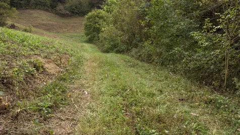 1 Noah Road Beechgrove TN 37018
