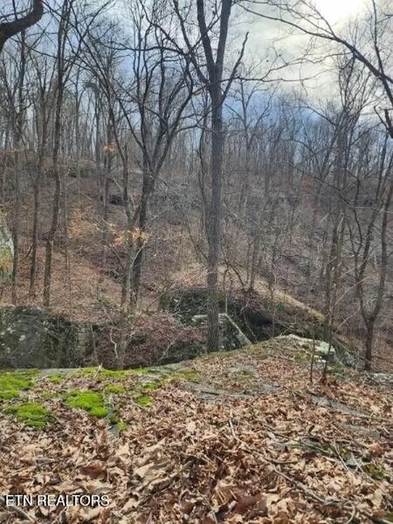 203 Crestview Lane Sparta TN 38583