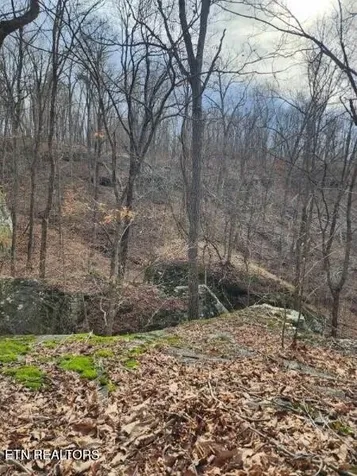 203 Crestview Lane Sparta TN 38583