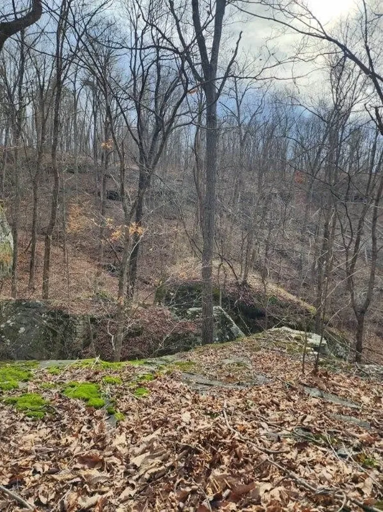 203 Crestview Lane Sparta TN 38583