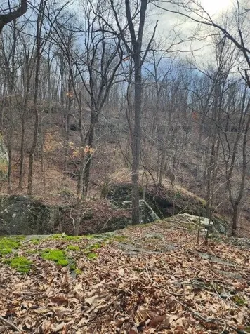 203 Crestview Lane Sparta TN 38583