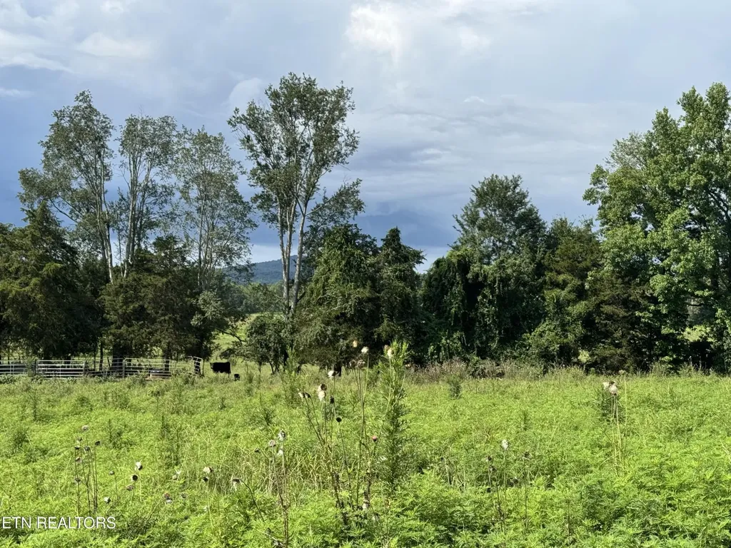 0 Collier Lane Rock Island TN 38581