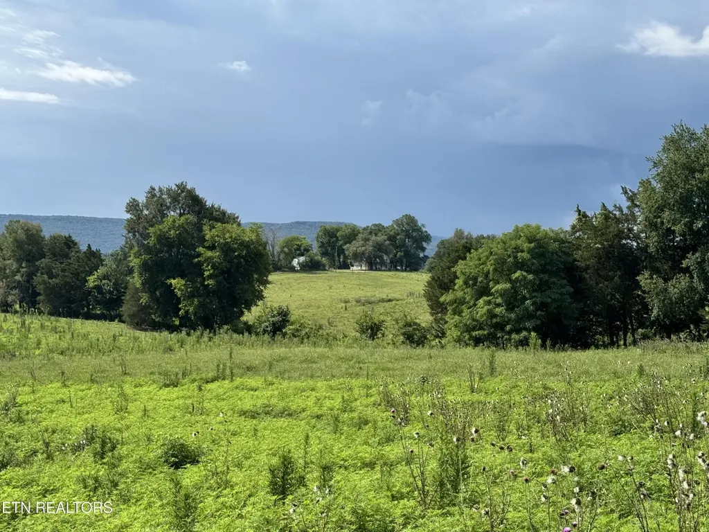 0 Collier Lane Rock Island TN 38581