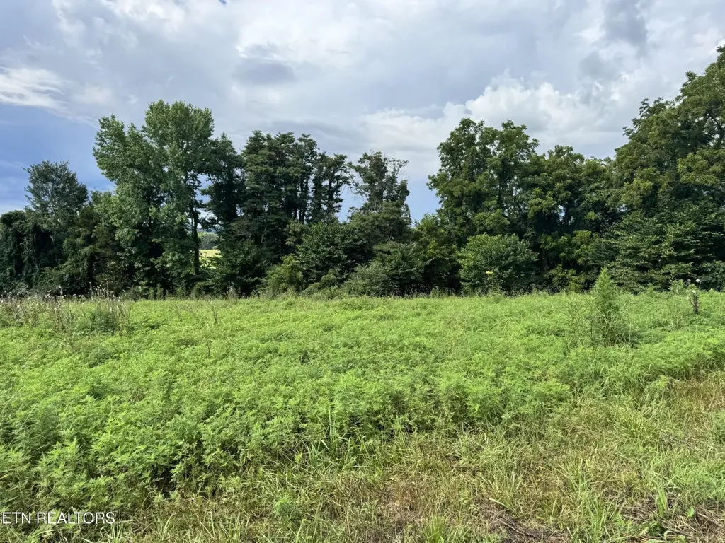 0 Collier Lane Rock Island TN 38581