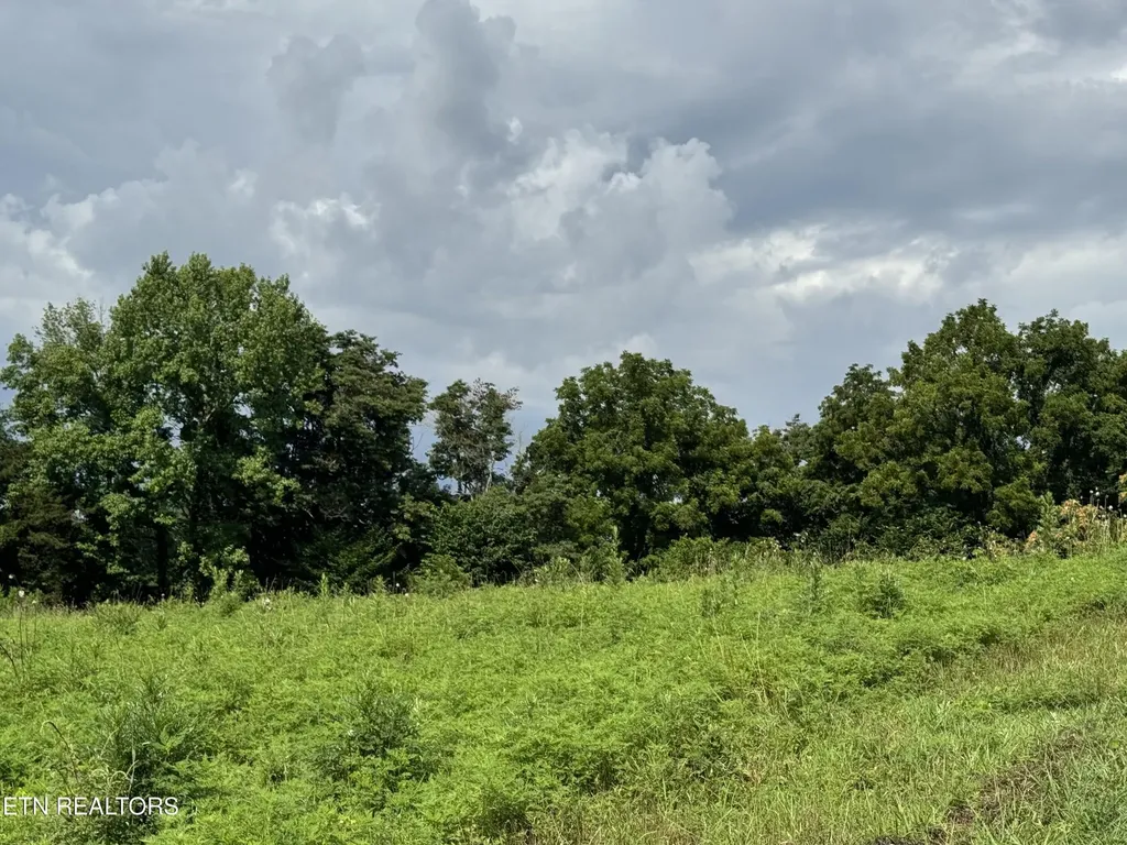 0 Collier Lane Rock Island TN 38581