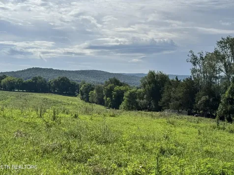 0 Collier Lane Rock Island TN 38581