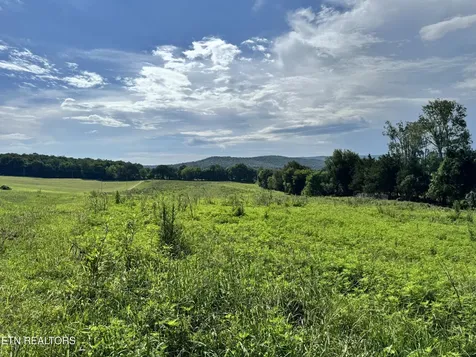 0 Collier Lane Rock Island TN 38581