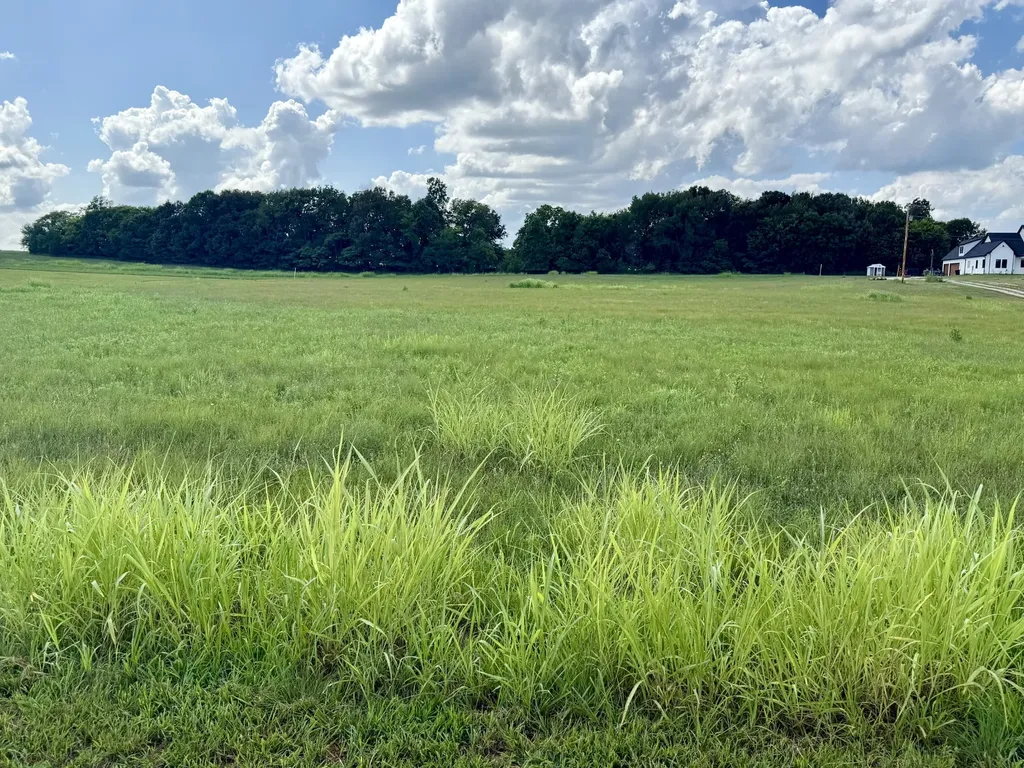 165 Perdue Cemetery Road Portland TN 37148
