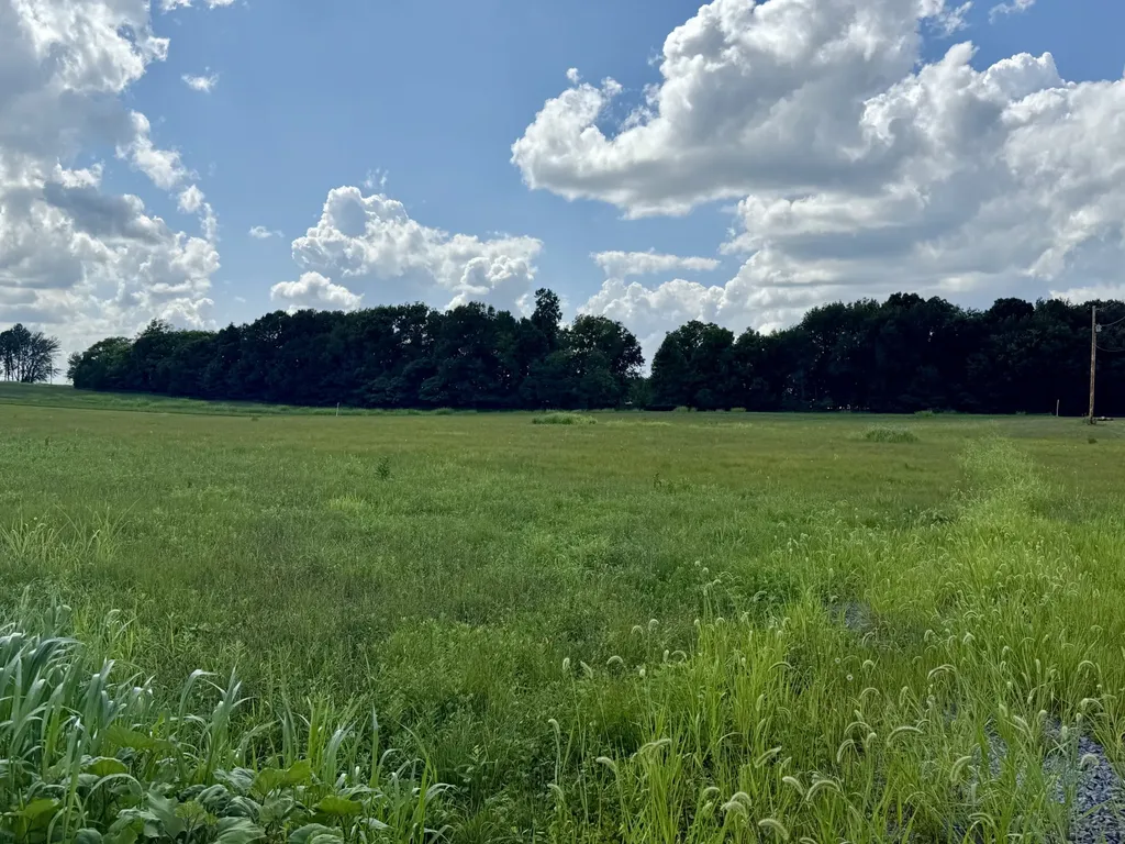 165 Perdue Cemetery Road Portland TN 37148