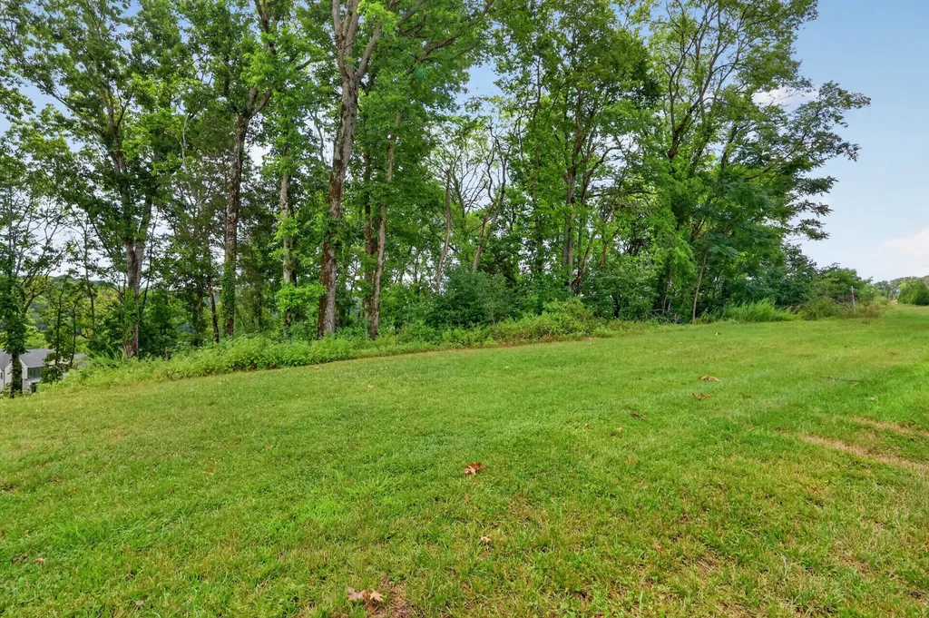 8514 Blanton Court College Grove TN 37046