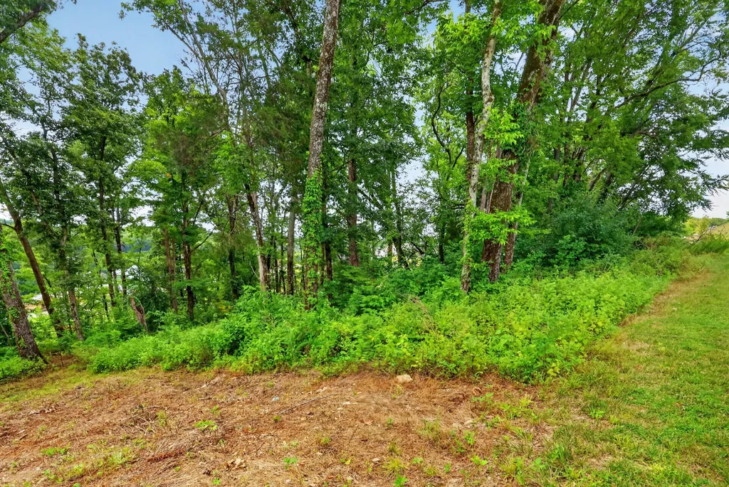 8514 Blanton Court College Grove TN 37046