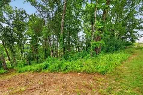 8514 Blanton Court College Grove TN 37046