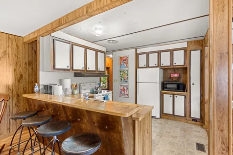 225 Pineview Drive Springville TN 38256