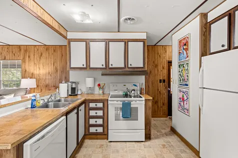 225 Pineview Drive Springville TN 38256