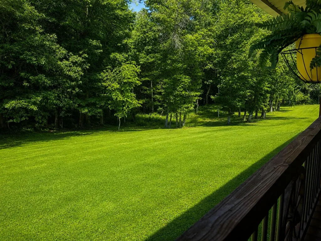127 Burrville Road Sunbright TN 37872