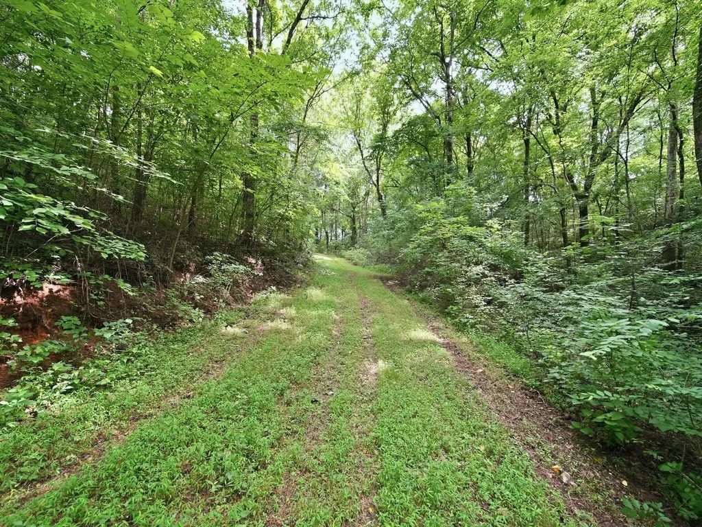 168 Sherfield Road Fayetteville TN 37334