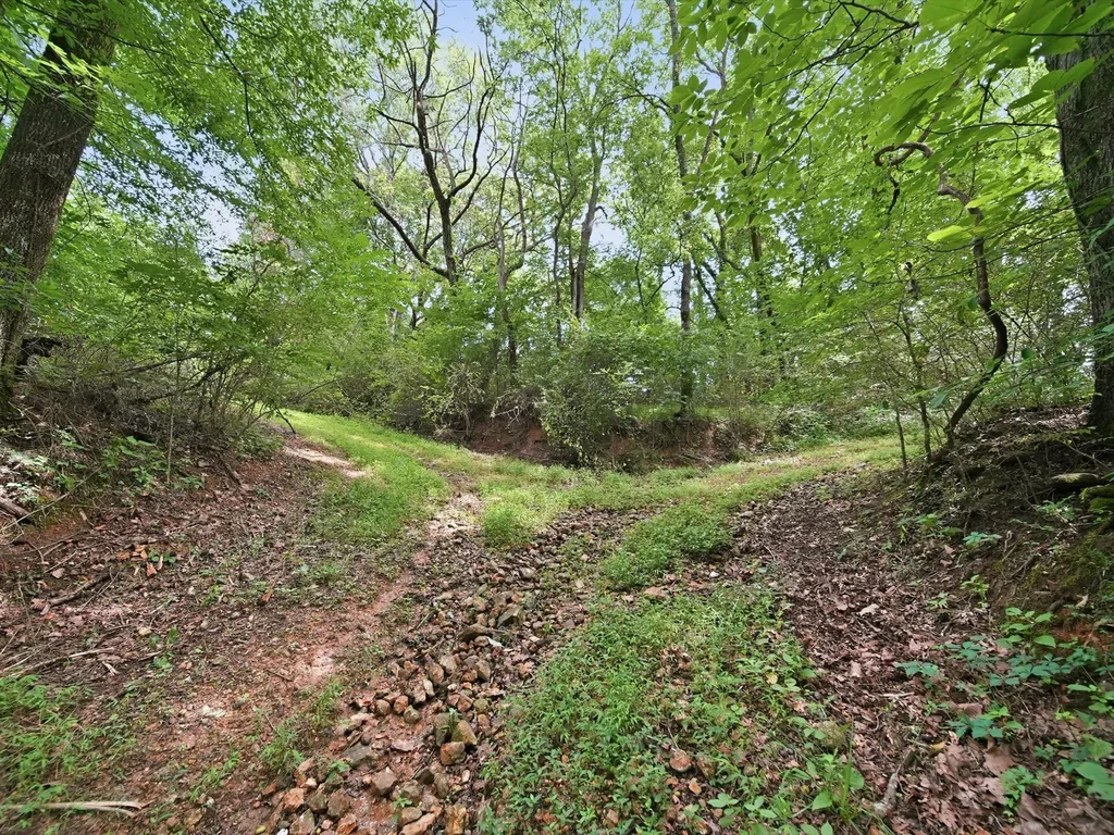 168 Sherfield Road Fayetteville TN 37334