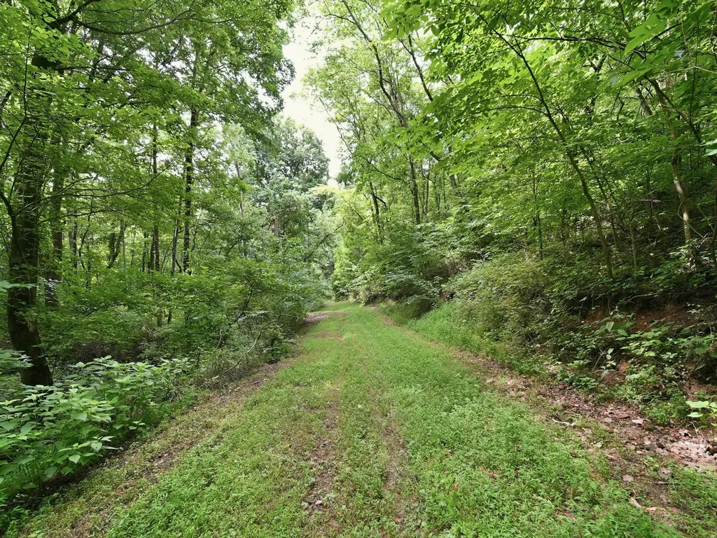 168 Sherfield Road Fayetteville TN 37334