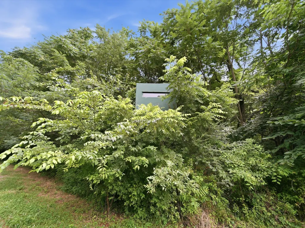 168 Sherfield Road Fayetteville TN 37334