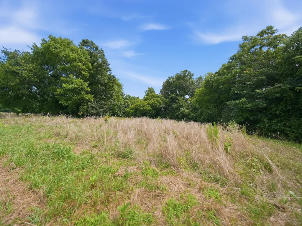 168 Sherfield Road Fayetteville TN 37334