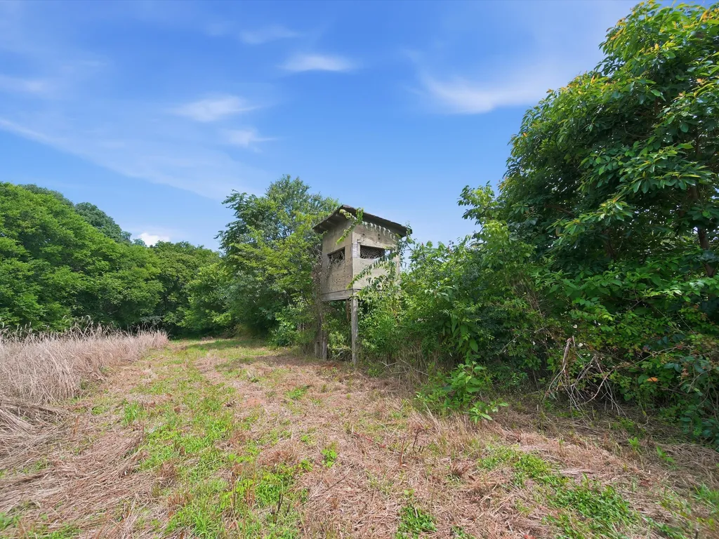 168 Sherfield Road Fayetteville TN 37334
