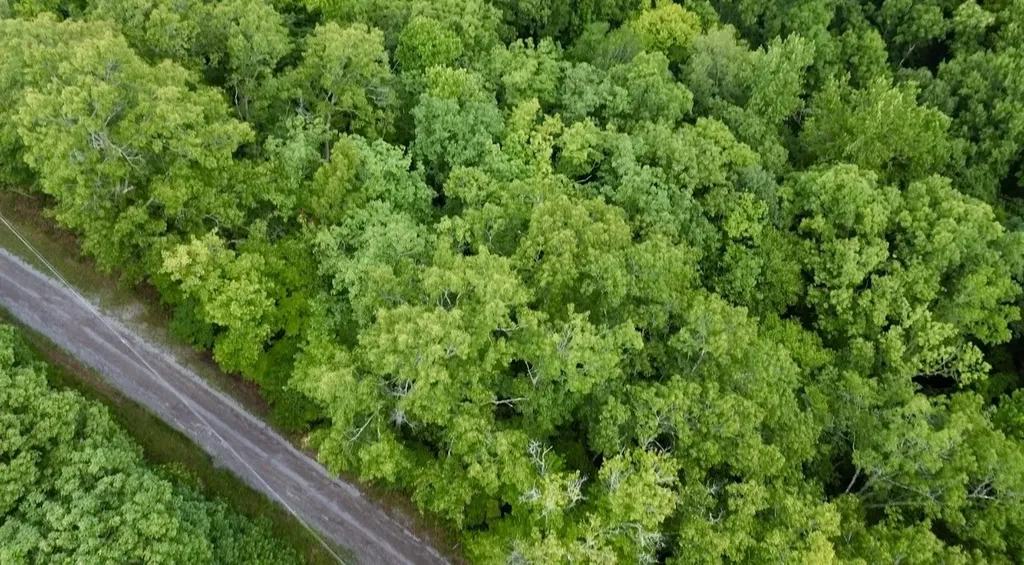 0 Skyline Drive Smithville TN 37166