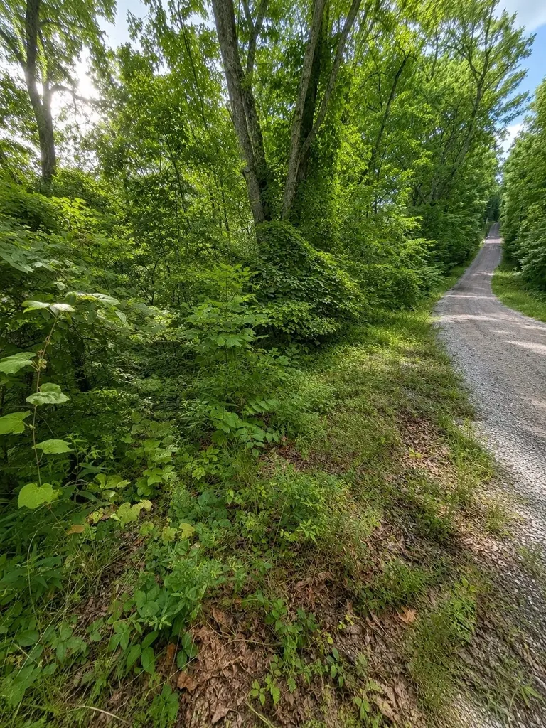 0 Skyline Drive Smithville TN 37166