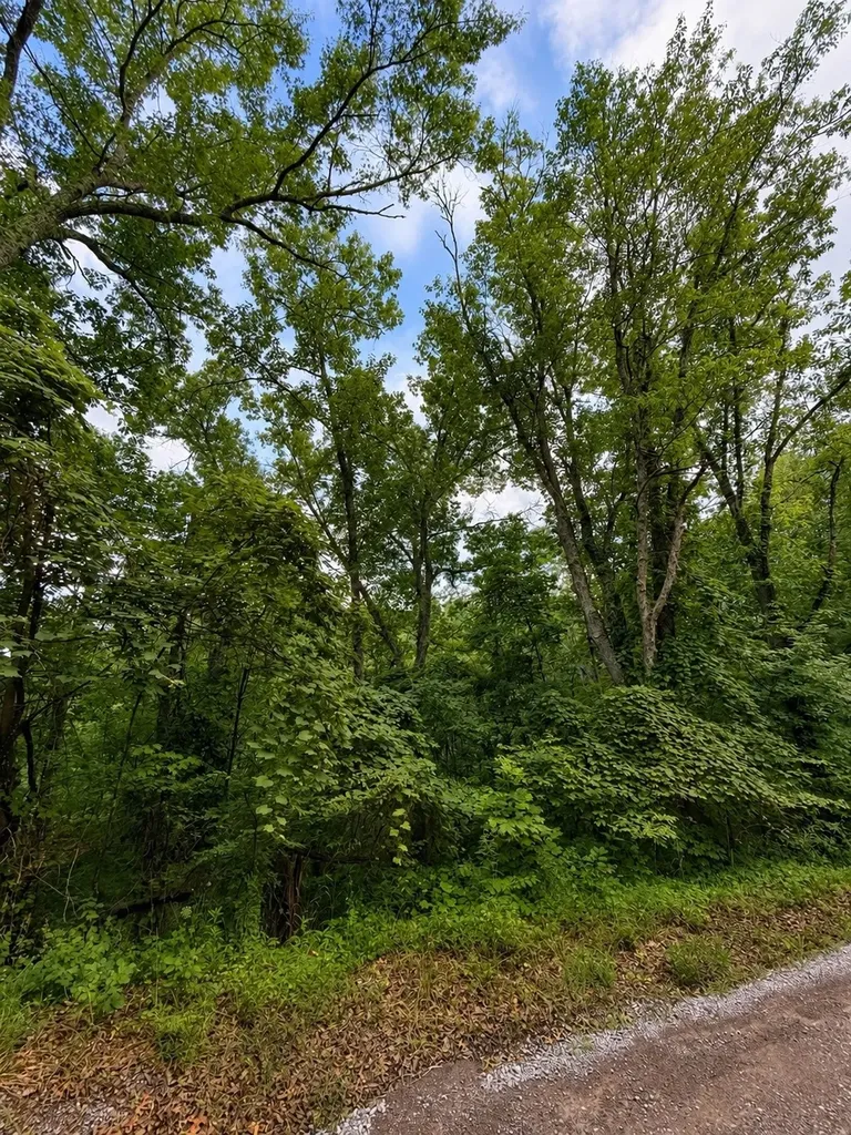 0 Skyline Drive Smithville TN 37166
