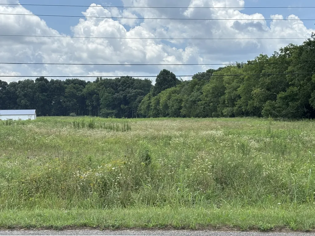 0 Unionville Road Chapel Hill TN 37034