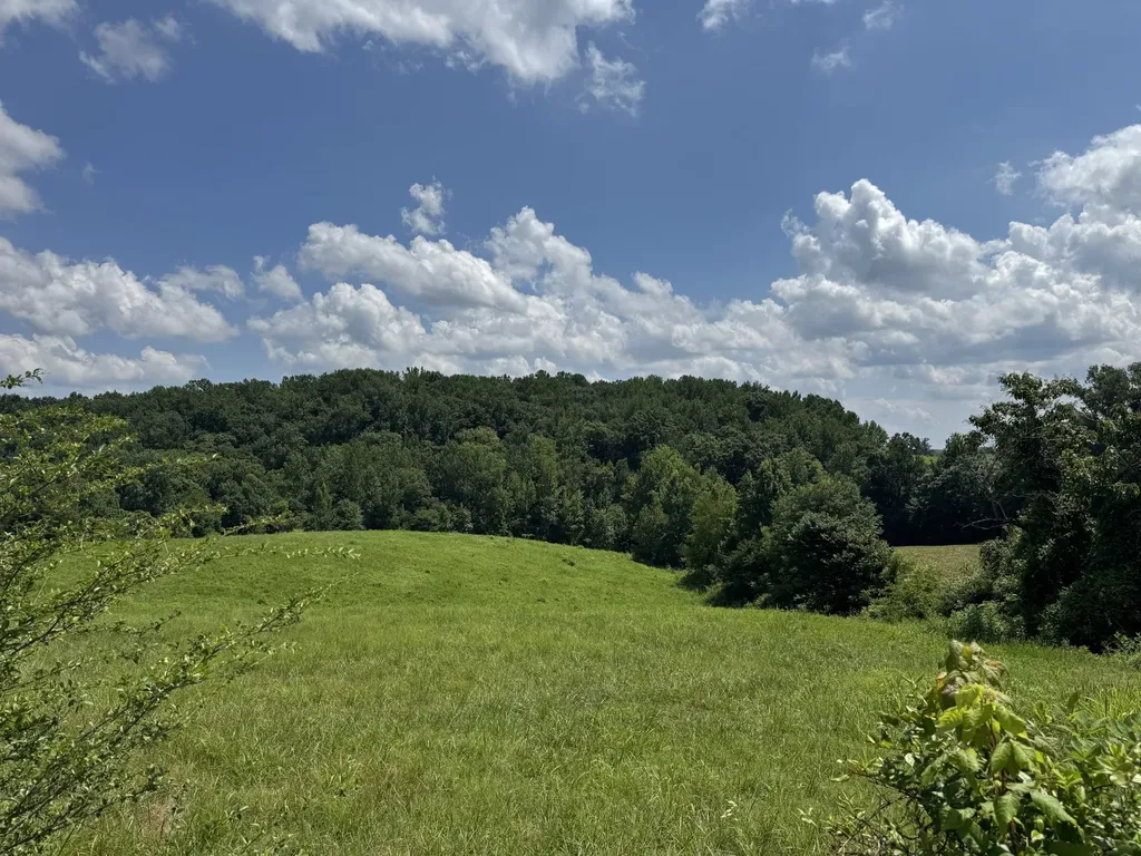 0 Potts Camp Road Smithville TN 37166