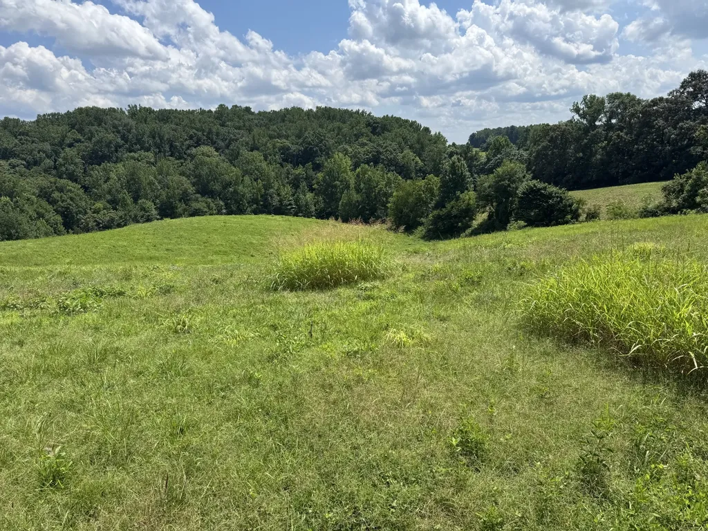 0 Potts Camp Road Smithville TN 37166