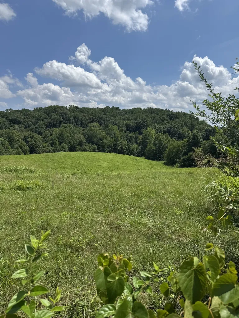 0 Potts Camp Road Smithville TN 37166