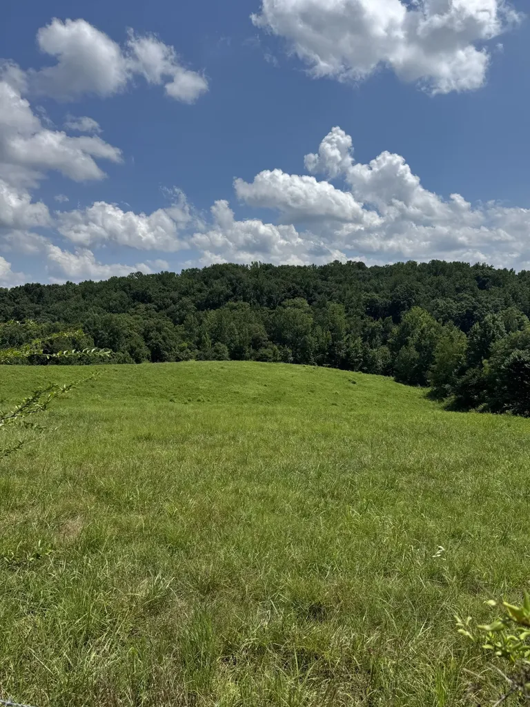 0 Potts Camp Road Smithville TN 37166