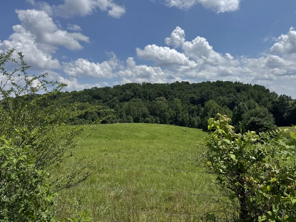 0 Potts Camp Road Smithville TN 37166