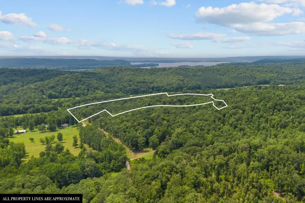 0 Roberts Creek Waverly TN 37185