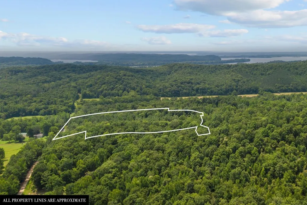 0 Roberts Creek Waverly TN 37185