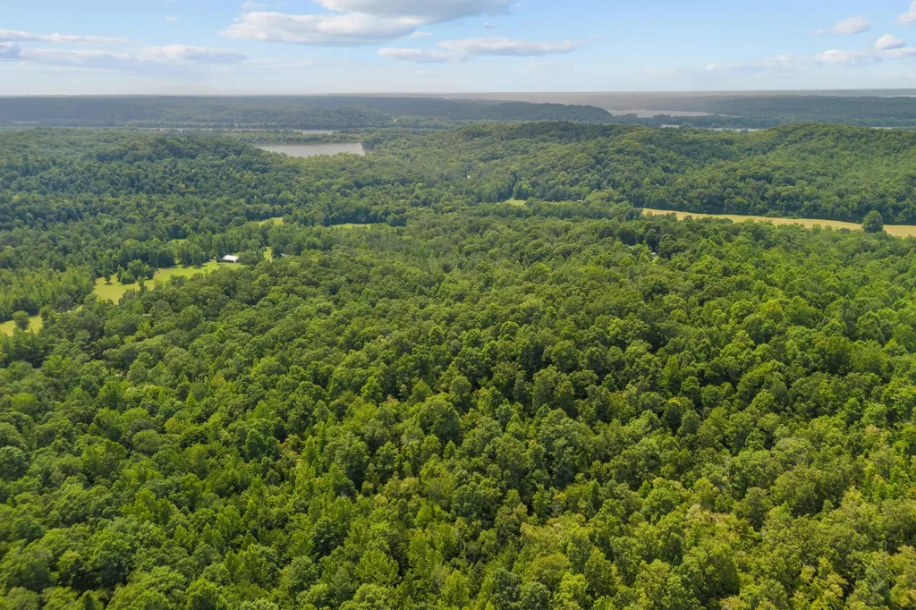 0 Roberts Creek Waverly TN 37185
