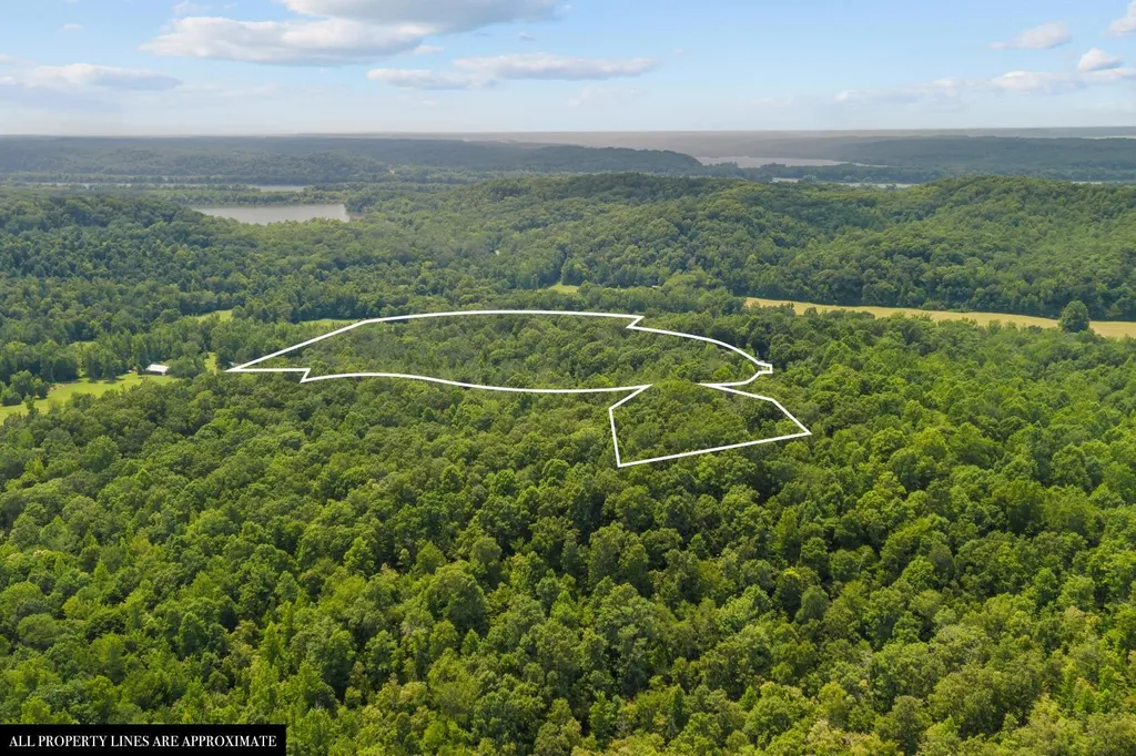 0 Roberts Creek Waverly TN 37185