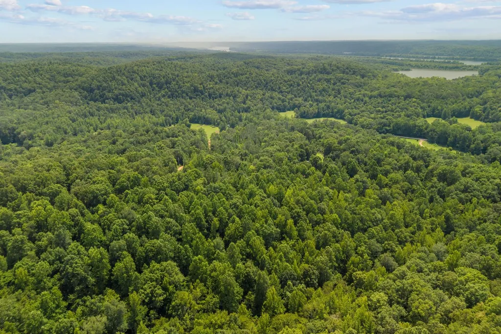 0 Roberts Creek Waverly TN 37185