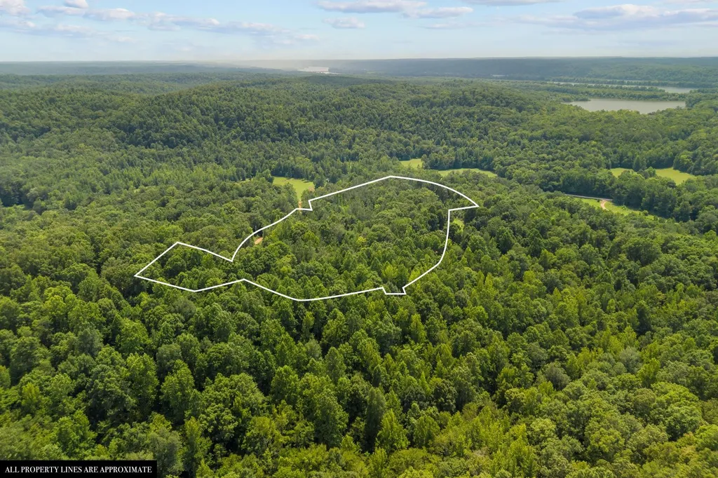 0 Roberts Creek Waverly TN 37185